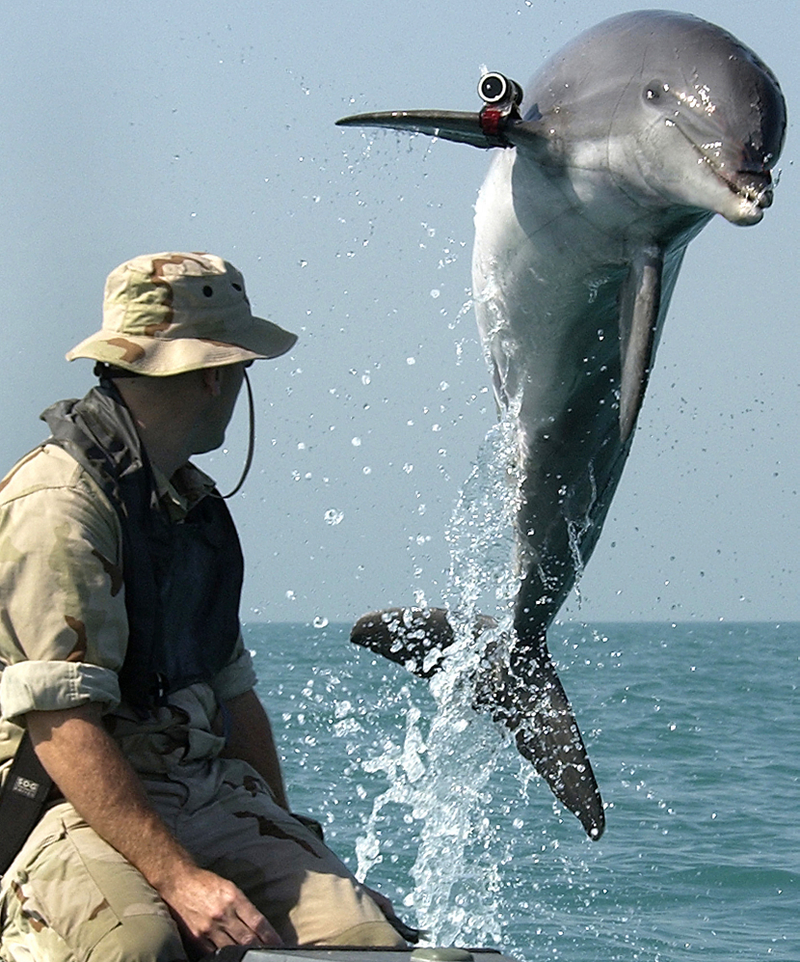 Imagen: Wikimedia Commons